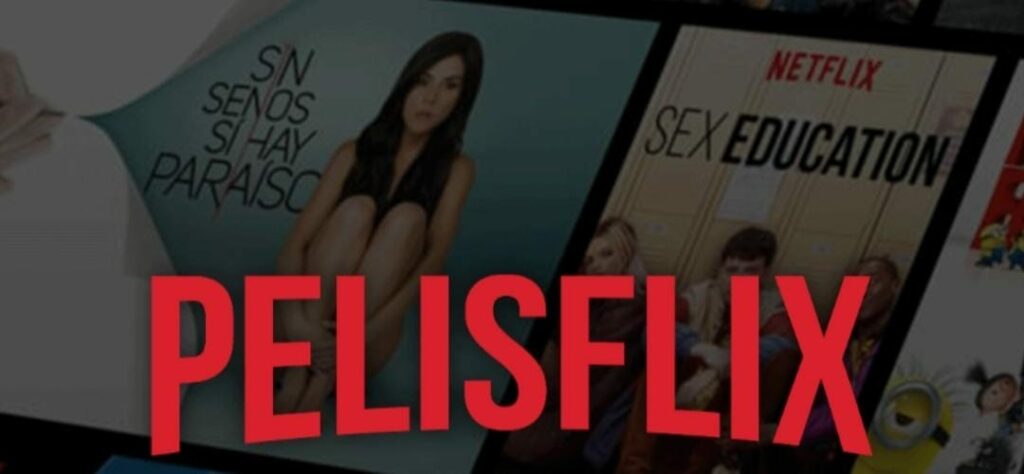 PelisFlix apk Image