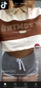 TikTok Plus v33.0.3 APK Download – TikTok + 2024 8